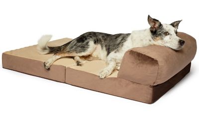 Precious Tails Orthopedic Foam Velvet Foldable Chaise Dog Bed