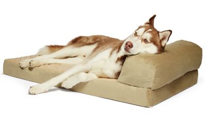 Precious Tails Orthopedic Foam Velvet Foldable Chaise Dog Bed