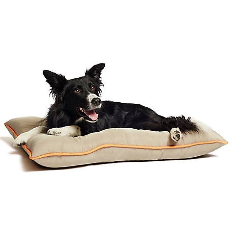 Precious Tails Water and Chew Resistant Go Anywhere Reversible Pillow Pet Bed, 3627BTKM-GRW