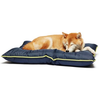 chew resistant dog bed