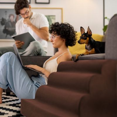 Image showing  4-Step High Density Foam Scalloped Pet Stairs