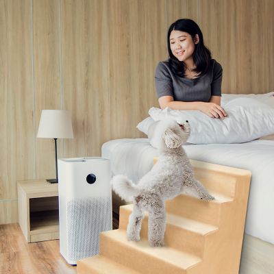 Image showing 6 th Precious Tails 5-Step High-Density Foam Pet Stairs for Dogs Up to 25 lb.