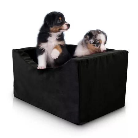 Precious Tails Oversized High Density Foam Car Booster Seat Pet Car Seats