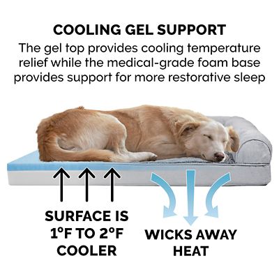 Image showing  Plush and Suede Cooling Gel Sofa Dog Bed
