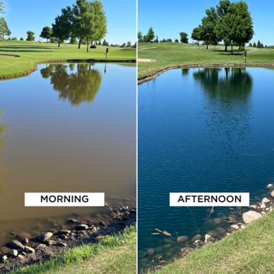 Image showing  Healthy Ponds Blue Pond Dye, 5 oz.