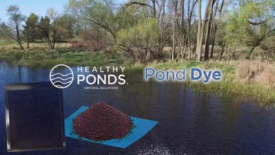 Image showing  Healthy Ponds Blue Pond Dye, 5 oz.