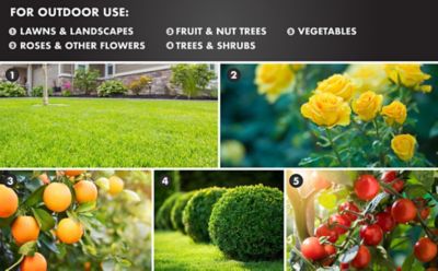 Image showing 6 th Spectracide 32 fl. oz. Triazicide Insect Killer for Lawns and Landscapes Concentrate