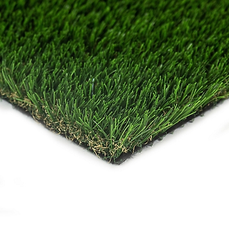 Everlast Riviera Artificial Turf Grass Carpet, 1-5/8 in., 5 ft. x 10 ft.