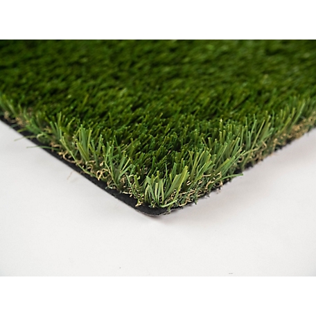 Everlast Cascade Fescue Artificial Turf Grass Carpet, 5 ft. x 10 ft., 1-5/8 in. H