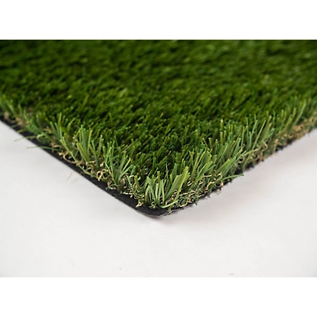 Everlast Cascade Fescue Artificial Turf Grass Carpet, 15 ft. x 25 ft., 1-5/8 in. H