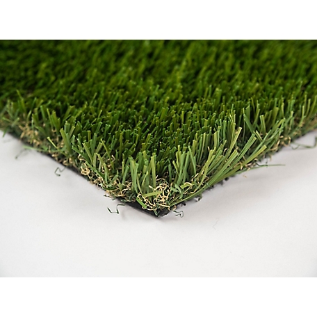 Everlast Cascade Fescue Premium Artificial Turf Grass Carpet, 15 ft. x 10 ft., 1-3/4 in. H