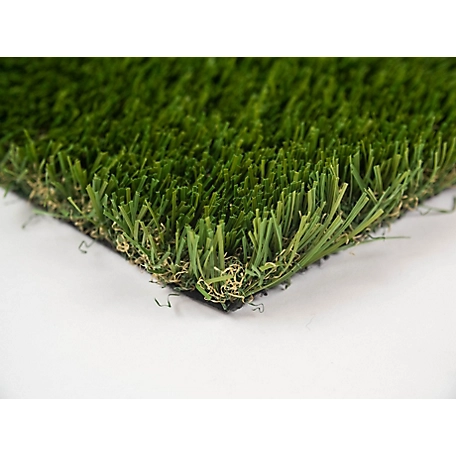 Everlast Cascade Fescue Premium Artificial Turf Grass Carpet, 15 ft. x 10 ft., 1-3/4 in. H
