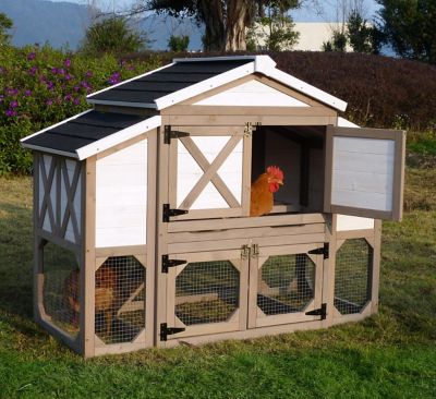 Image showing  Country Style Chicken Coop, 3 to 4 Chicken Capacity