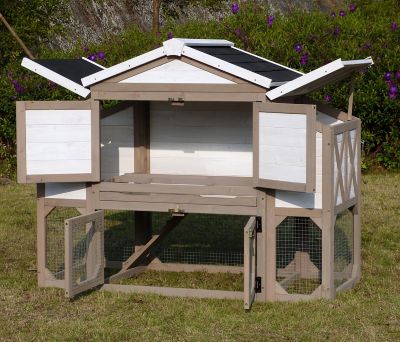 Image showing  Country Style Chicken Coop, 3 to 4 Chicken Capacity