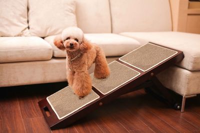 Image showing  Collapsible Pet Ramp, Espresso