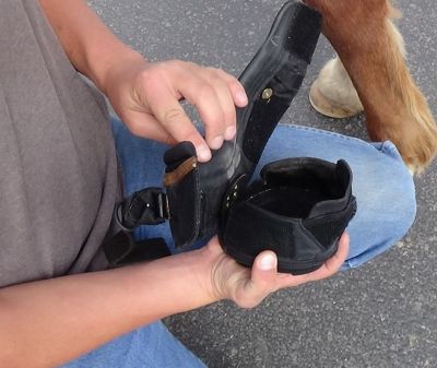 Image showing 4 th EasyCare Inc. Easyboot Trail Horse Boot