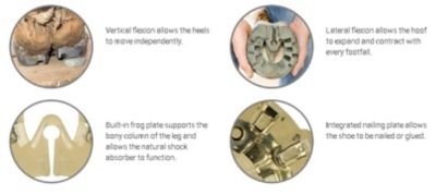 Image showing  Easyshoe Performance N/G Horseshoes, Size 5, 2 ct.