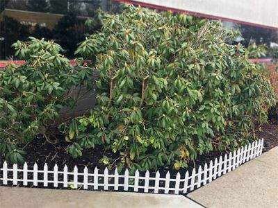 Image showing  12 in. x 23 in. Vinyl Picket Garden Fence, 6-Pack