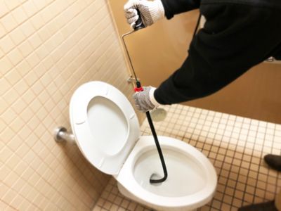 Image showing  3 ft. Toilet Drain Auger, Reusable, Nonslip Handle