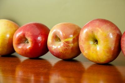 Image showing  Perennial White Anna Apple Tree in 5 gal. Grower's Pot