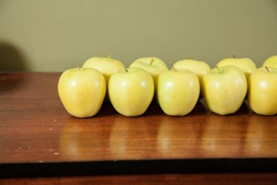 Image showing  5 gal. Golden Delicious Apple Tree