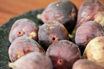 Image showing  3 gal. Brown Turkey Fig Tree