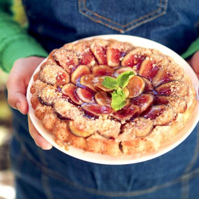 Image showing  1 gal. Chicago Hardy Fig Tree