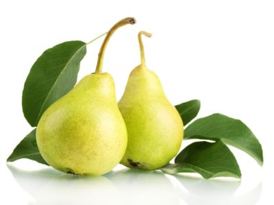 Image showing 1 th Perfect Plants 5 gal. Shinseiki Asian Pear Tree