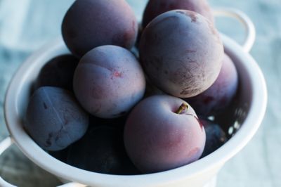 Image showing  5 gal. Santa Rosa Plum Tree