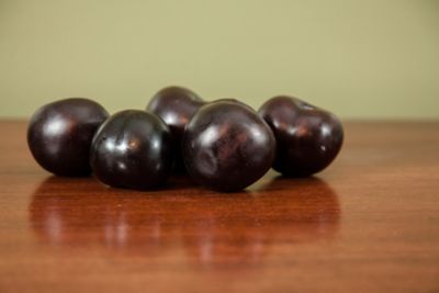 Image showing  5 gal. Methley Plum Tree