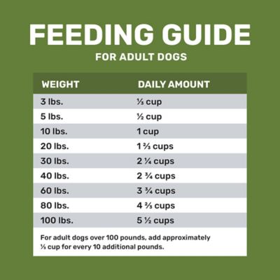 Image showing 5 th 4health with Wholesome Grains Adult Lamb and Rice Formula Dry Dog Food