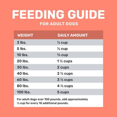 Image showing 5 th 4health with Wholesome Grains Adult Salmon and Potato Formula Dry Dog Food