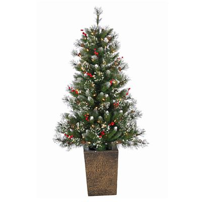 Sterling Tree Company 5210--40C