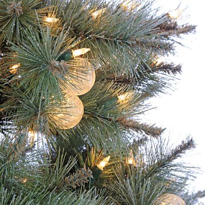 Image showing  7.5 ft. Pre-Lit Mixed Needle Arcadia Fir Artificial Christmas Tree, Clear and Warm White Lights