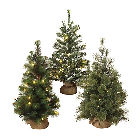 Gerson International 24 in. Lighted Christmas Trees, Assorted, 3-Pack