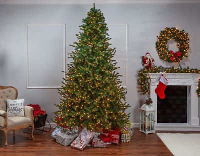 Image showing  9 ft. Pre-Lit Layered Norfolk Pine Christmas Tree