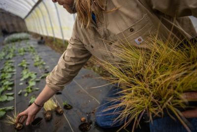 Image showing  Men's Rugged Flex Rigby Long-Sleeve Button-Down Work Shirt