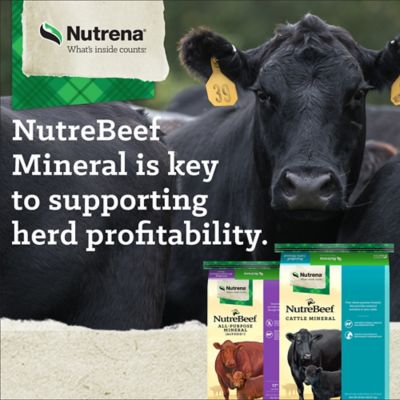Image showing  All-Purpose Cattle Mineral Supplement with Fly Control, 50 lb.