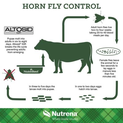 Image showing  All-Purpose Cattle Mineral Supplement with Fly Control, 50 lb.