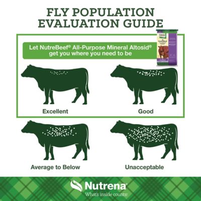 Image showing  All-Purpose Cattle Mineral Supplement with Fly Control, 50 lb.