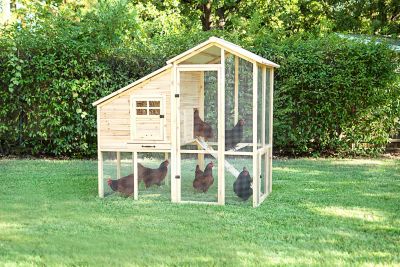 Petmate Superior Construction Chicken Coop, 8 to 10 Chicken Capacity Petmate Chicken Coop