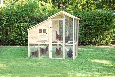 Petmate Superior Construction Chicken Coop, 8 to 10 Chicken Capacity