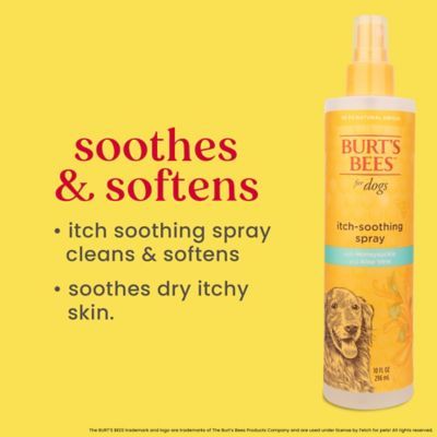 Image showing  Honeysuckle Itch Spray for Dogs, 10 oz.