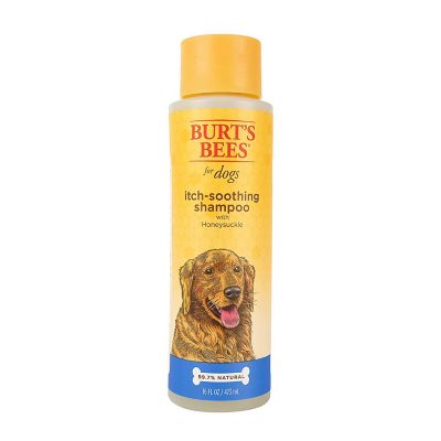 Burt's Bees Itch Soothing Honeysuckle Scented Shampoo for Dogs, 16 oz.