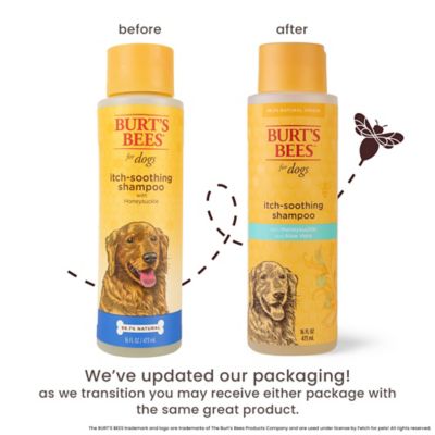 Image showing  Itch Soothing Honeysuckle Scented Shampoo for Dogs, 16 oz.