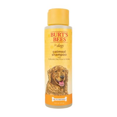 Burt's Bees Oatmeal Dog Shampoo, 16 oz. Gentle shampoo, works well on itchy bulldogs