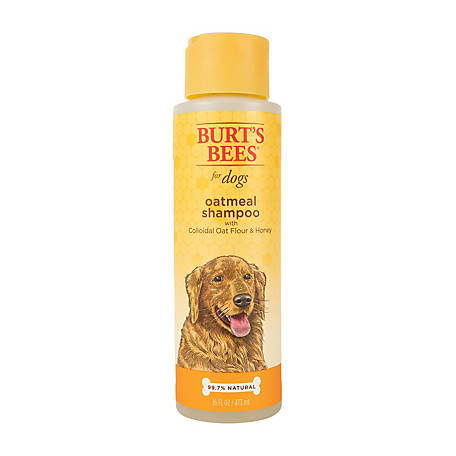 Peer Effektivitet Læsbarhed Burt's Bees Oatmeal Dog Shampoo, 16 oz. at Tractor Supply Co.