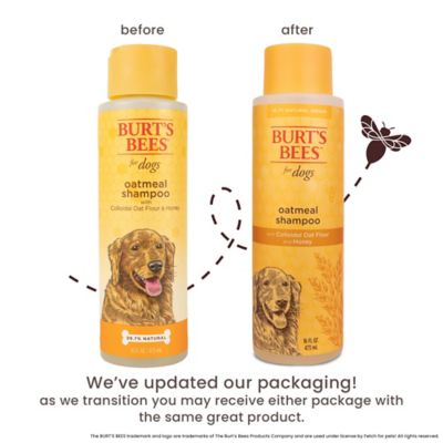 Image showing  Oatmeal Shampoo for Dogs, 16 oz.