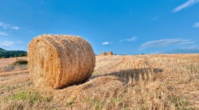 Image showing  20,000 ft. Polypropylene Baler Twine, Orange, 130 lb. Tensile Strength