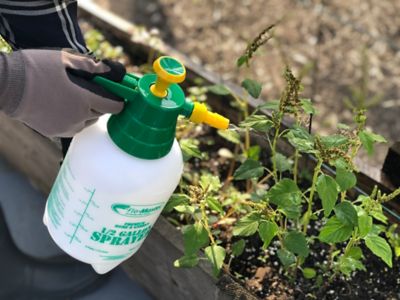 Image showing  5 gal. 10 PSI Premium Handheld Sprayer